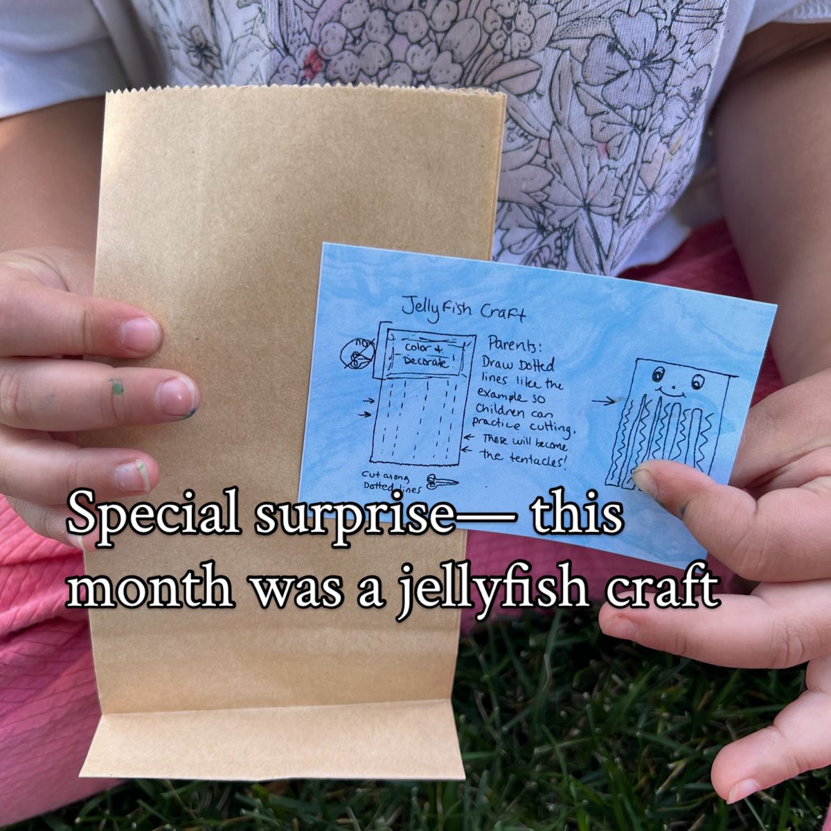The surprise craft included every month